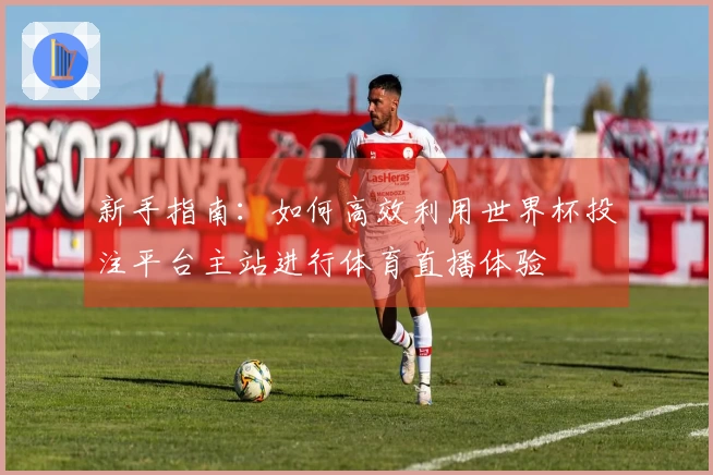 新手指南：如何高效利用世界杯投注平台主站进行体育直播体验