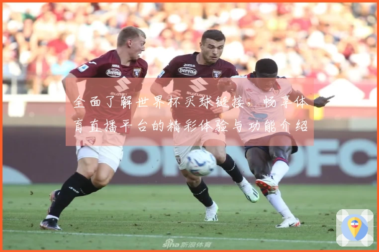 全面了解世界杯买球链接，畅享体育直播平台的精彩体验与功能介绍