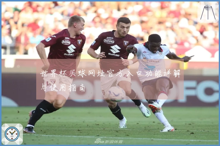 世界杯买球网址官方入口功能详解与使用指南