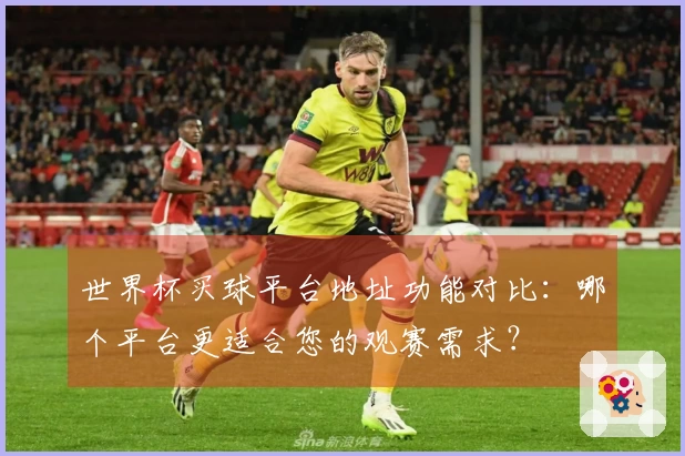 世界杯买球平台地址功能对比：哪个平台更适合您的观赛需求？