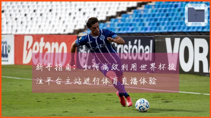 新手指南：如何高效利用世界杯投注平台主站进行体育直播体验