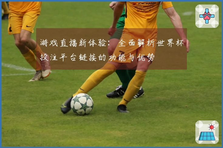 游戏直播新体验：全面解析世界杯投注平台链接的功能与优势