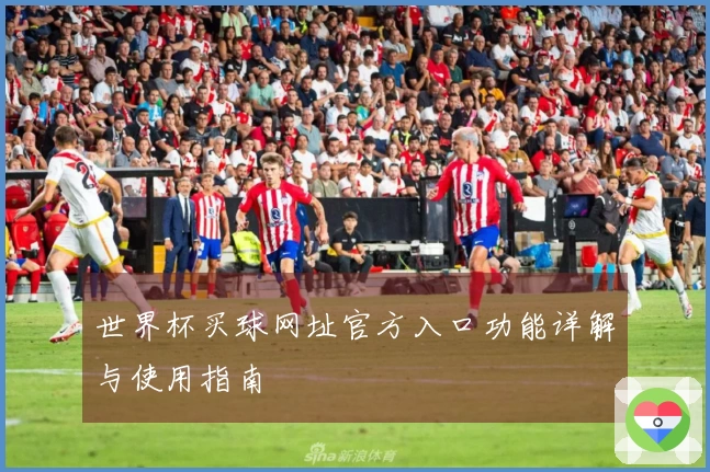 世界杯买球网址官方入口功能详解与使用指南