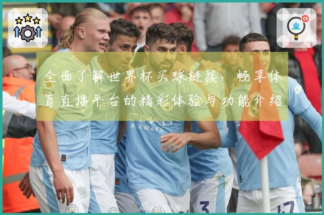 全面了解世界杯买球链接，畅享体育直播平台的精彩体验与功能介绍